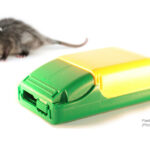 Plastic Injection Moulding